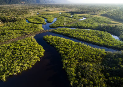 Mindful Management®